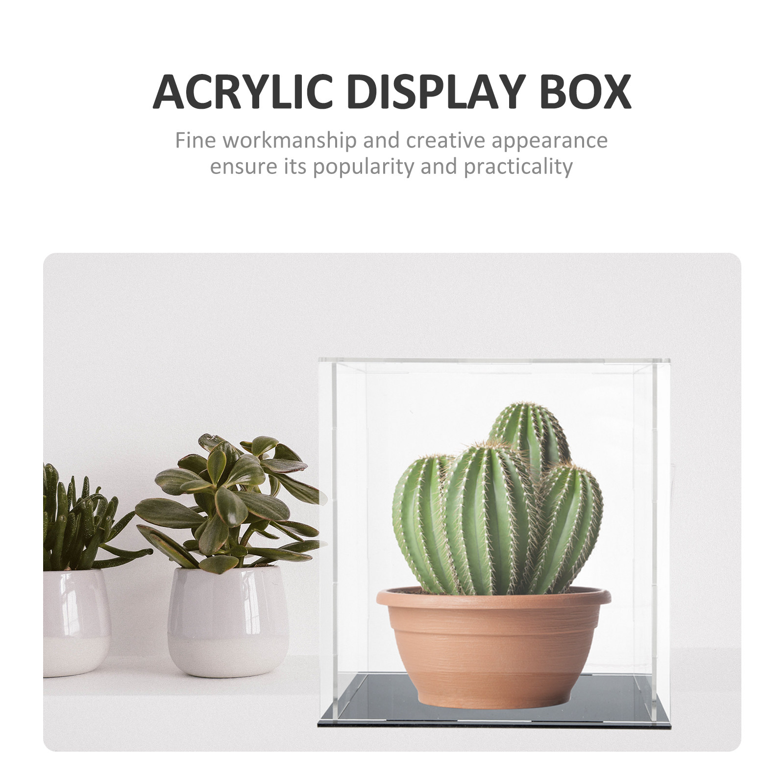 Wytrzymała, przezroczysta, odp – Display Case Acrylic recenzja i cena