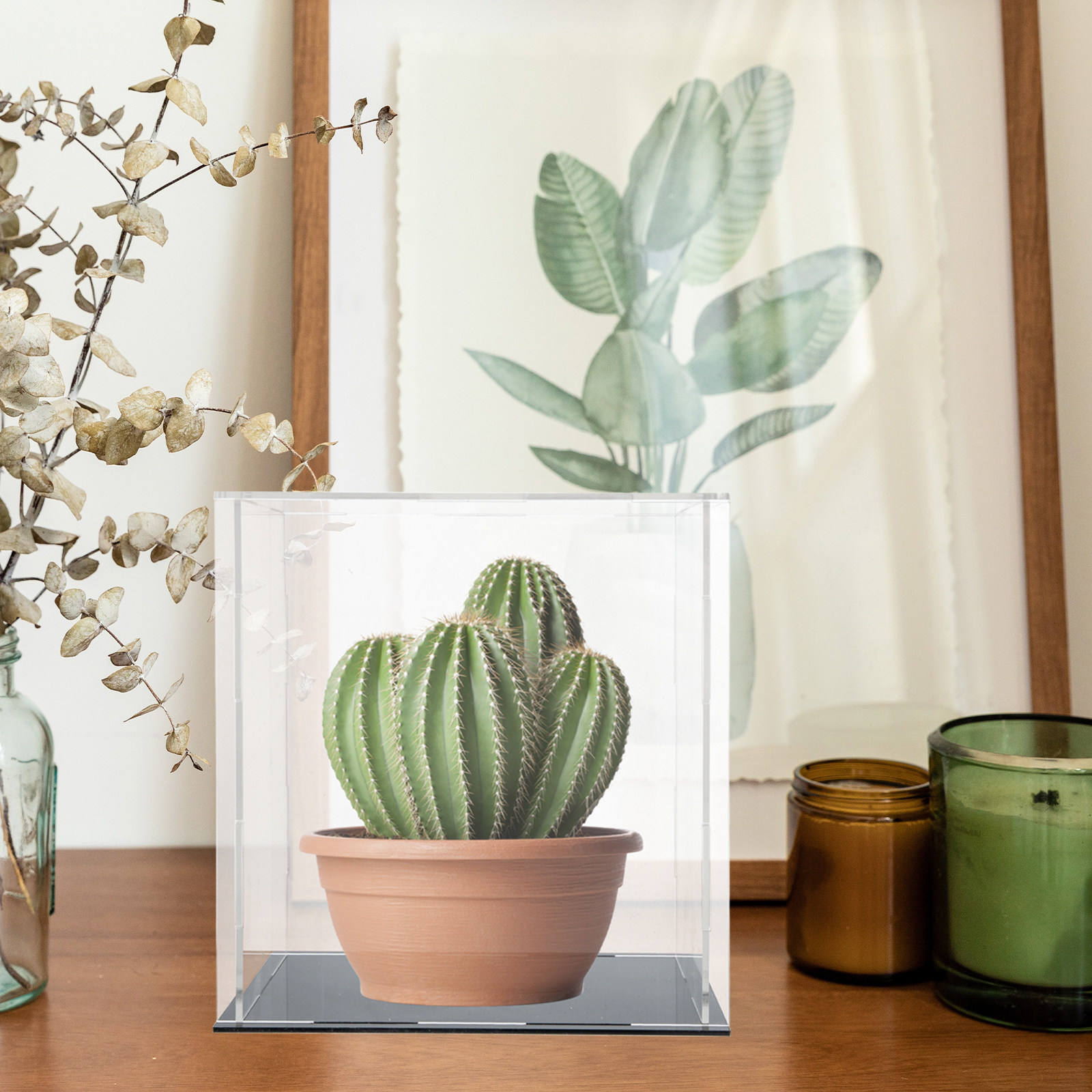 Wytrzymała, przezroczysta, odp – Display Case Acrylic recenzja i cena